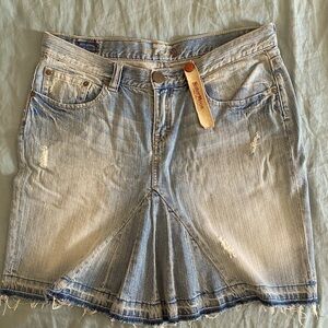 Sister Moon Denim Skirt